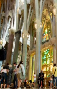 Inside the Sagrada Familia of Barcelona